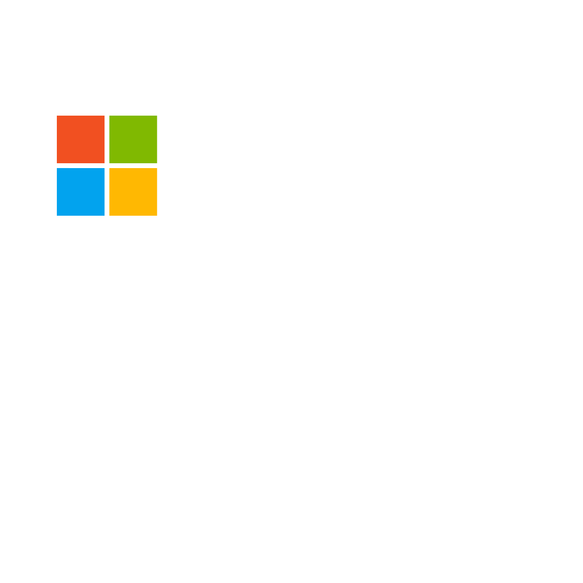 Microsoft Partner